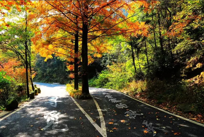 ˵-Ȩȫƽ̨