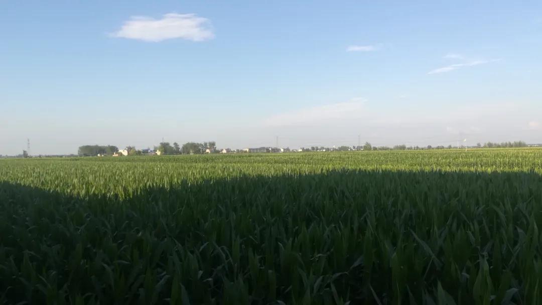 ˵-Ȩȫƽ̨